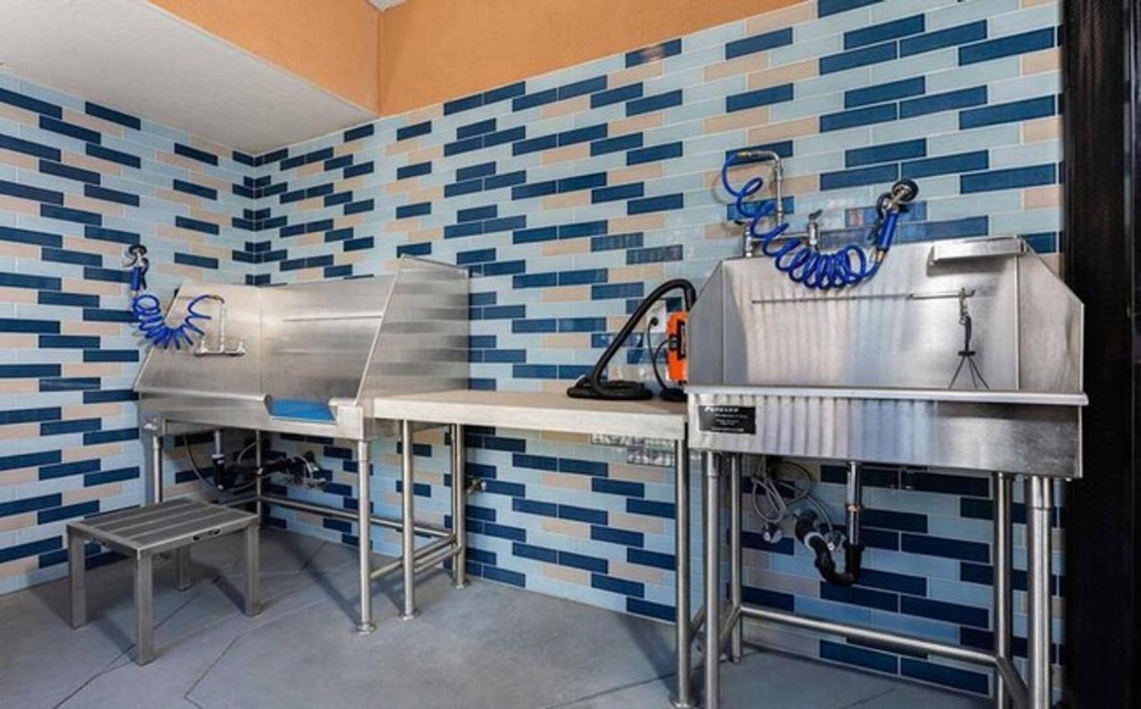 San Jose 1Br W Gym Pool Wd Nr Highways Vta Sfo-549 Leilighet Eksteriør bilde